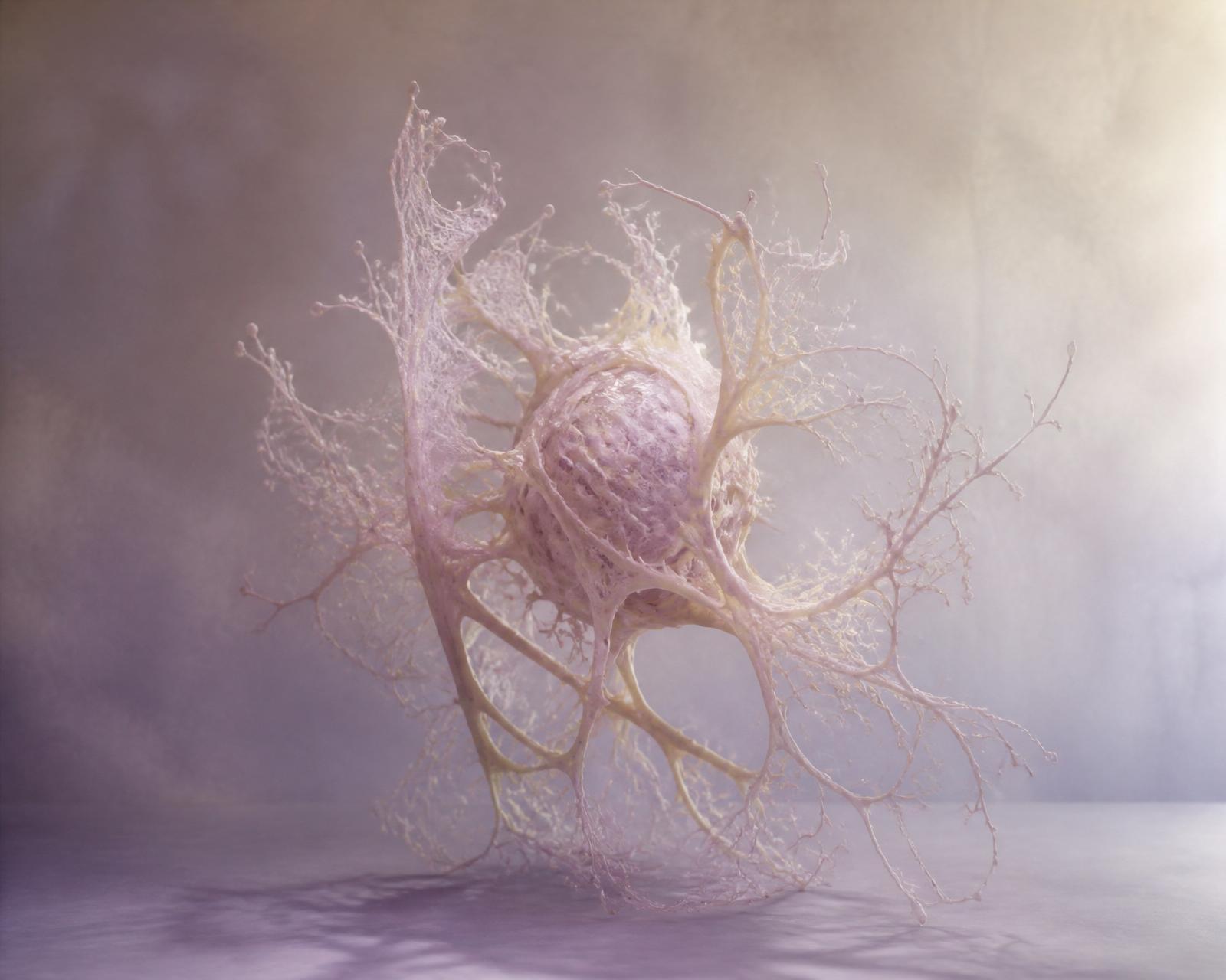A translucent biomorphic sculpture branching like a neuron in pale lavender and cream tones.